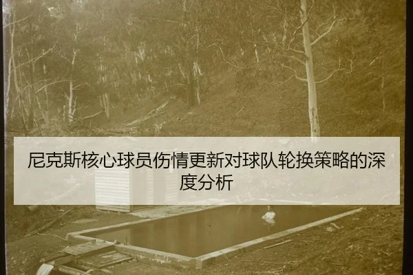 尼克斯核心球员伤情更新对球队轮换策略的深度分析
